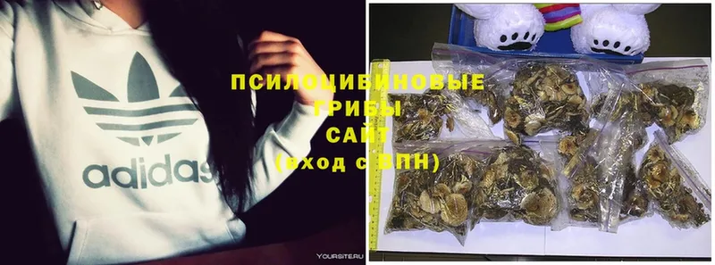 Галлюциногенные грибы GOLDEN TEACHER  Ачинск 